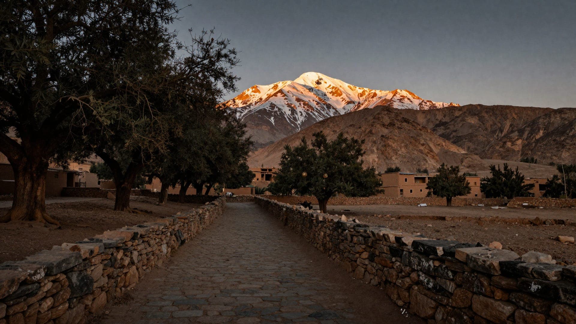 A stone-walled lane paved with flagstones running between old olive trees towards flat-roofed earth houses, with a snow-covered peak above them catching the first orange light of the day.
