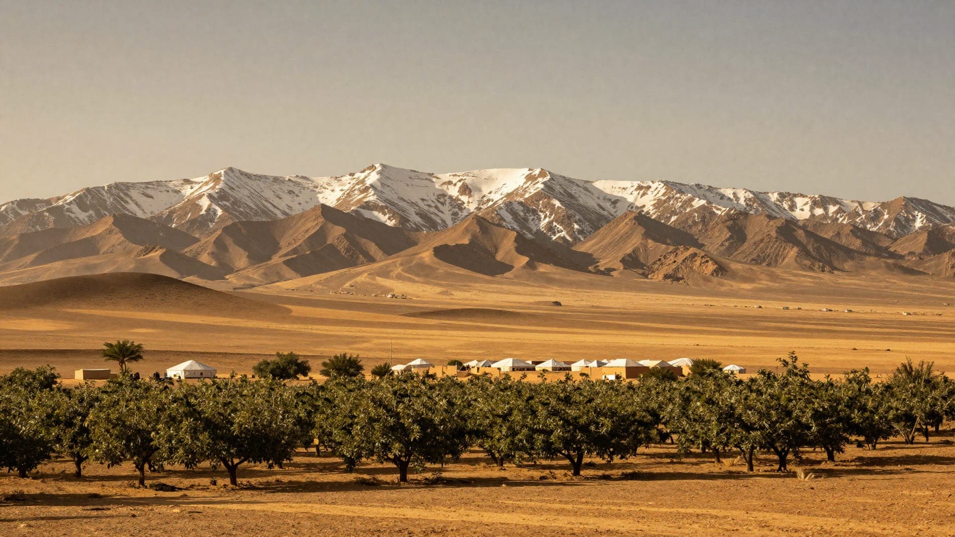 A long snow-covered range standing over a bare tan plain, with an apple orchard in the foreground and a line of white tents pitched between the two.